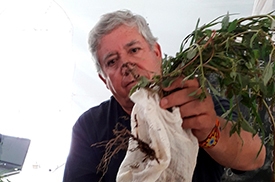 Jesús Ignacio Simón es ingeniero agrónomo, fundador y director de la empresa Gaia de asesoría integral ambiental en México. 