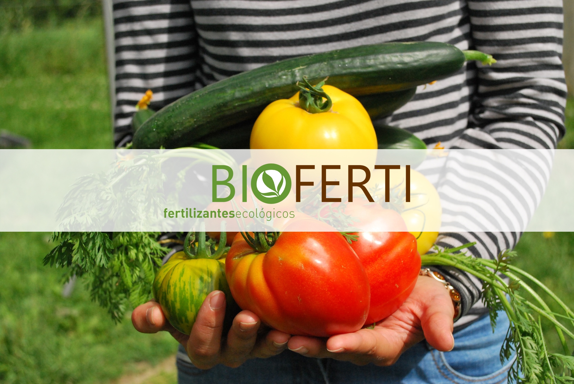 Fertilizantes biológicos | BIOFERTI